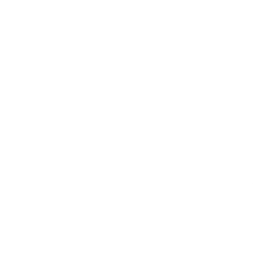 Code Icon